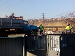Фирма мелитопольского коррупционера безнаказанно выпиливает деревья в городе