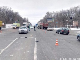 В Запорожье иномарка сбила пешехода (Фото)