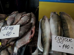 В Харькове на рынке изъяли рыбу