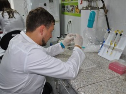 В Украине начал действовать закон о новых правилах проведения фитосанитарной экспертизы