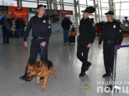 В аэропорту «Днепропетровск» появились четырехлапые полицейские