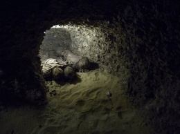 В Египте обнаружили древние захоронения с десятками мумий (Фото)