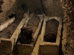 В Египте археологи нашли три гробницы с несколькими десятками мумий
