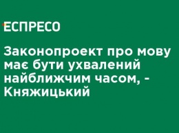 Законопроект о языке должен быть принят в ближайшее время, - Княжицкий