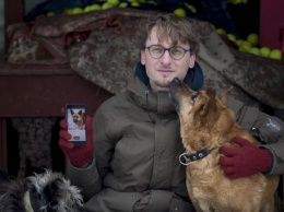 В Литве разработали мобильное приложение для знакомств с собаками из приюта