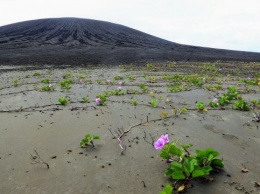 Загадочная грязь на новом вулканическом острове вызвала интерес ученых NASA
