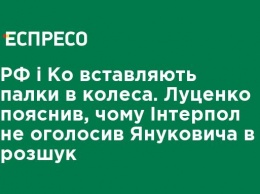 РФ и Ко вставляют палки в колеса. Луценко объяснил, почему Интерпол не объявил Януковича в розыск