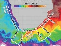 Разность температур воды может создать новые виды морских существ