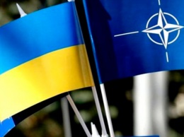 Рада внесла изменения в Конституцию о курсе Украины на вступление в ЕС и НАТО