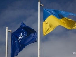 НАТО и ЕС ответили на изменения в Конституции Украины