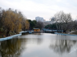 Февраль в Одессе: аномально теплый день «заглянул» в Парк Победы (фоторепортаж)