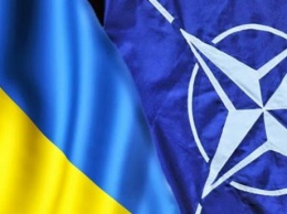 Харьковские нардепы и вступление в НАТО