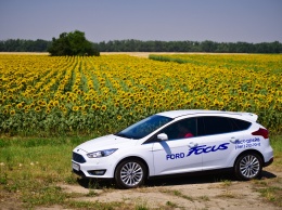 Ford поднял российские цены на модели Focus и Kuga