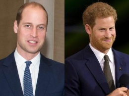 Юный принц Уильям хотел видеть на королевском престоле своего брата Гарри