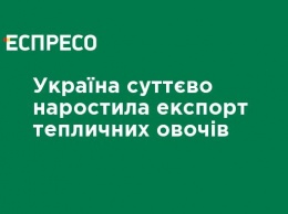 Украина существенно нарастила экспорт тепличных овощей