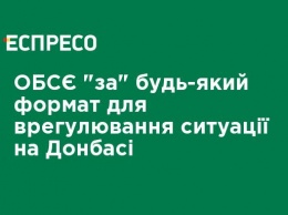 ОБСЕ "за" любой формат для урегулирования ситуации на Донбассе