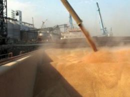 Международные зернотрейдеры причастны к хищению $ 60 млн на госпредприятии, - НАБУ
