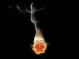 Биологи увидели действие никотина внутри нервной клетки