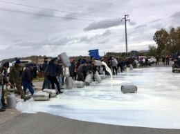 Итальянские фермеры в знак протеста вылили тонны молока