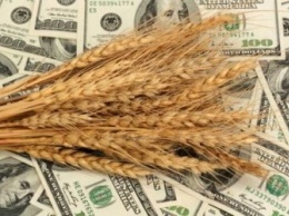 Украина заработала на экспорте зерна рекордную сумму
