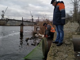 Эксперимент: в Николаеве на трубу ливневой канализации у понтонного моста поставили «улавливатель» твердого мусора