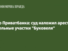 Дело Приватбанка: суд наложил арест на земельные участки "Буковеля"