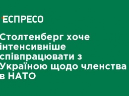 Столтенберг хочет интенсивнее сотрудничать с Украиной по членству в НАТО