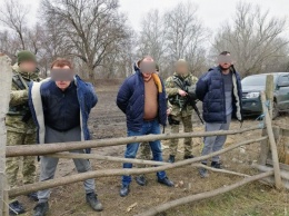 В Одесской области задержали британцев, незаконно проникших в Украину из Молдовы