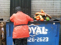 В Белгороде пенсионерам совсем «край»: Они забирают из баков просроченные продукты