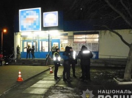 Поплатился жизнью из-за хулиганства владельца: В Киеве полицейский застрелил бойцовского пса