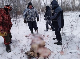 В Башкирии полицейский и депутат попались на браконьерстве