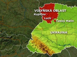 "Однозначно геноцид". В Праге заявили, что УПА сотрудничала с нацистами и пыталась вырезать чешское село на Волыни