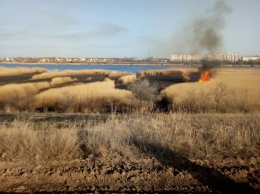 Пожар камыша на Николаевщине едва не перекинулся на жилые дома и гаражи
