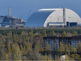 В Чернобыле сделана необычная находка: зафиксировали на камеры
