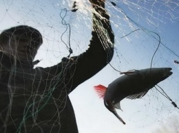 На Днепропетровщине временно запретят рыбалку