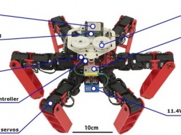 Робота-муравья научили ориентироваться на местности без использования геолокации