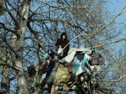 В Киеве пенсионер три года живет на дереве