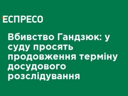 Убийство Гандзюк: у суда просят продления срока досудебного расследования