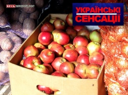 Украинцы массово умирают от... еды! Выводы специалистов Йенского университета неутешительны
