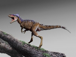 Палеонтологи описали карликовых предков тираннозавров