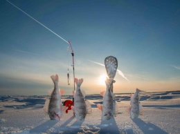 В Зенькове на реке пройдет зимний турнир по рыбалке