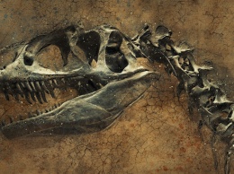 Ученые считают, что причиной вымирания динозавров стали извержения, а не астероид