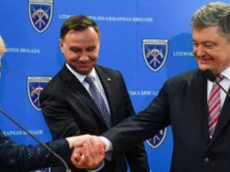 Порошенко хочет втянуть в войну на Донбассе Польшу и Литву