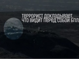 Украинцы проникли в тыл боевиков на Донбассе: «говорящая птичка» напугала террористов. ВИДЕО