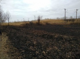 В Запорожской области неизвестные жгут камыши: местные жители негодуют