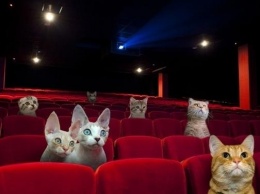 Будь в курсе: в Gagarinn Plaza откроют новый кинотеатр