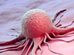 Человечество не сможет победить рак - ученые