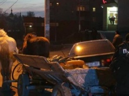 В Хмельницкой области рецидивист угнал лошадей и врезался в машину (ФОТО)