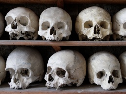 Ученые из России приблизились к раскрытию секрета формирования костей