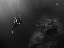 Ученые: что помогает антарктическим рыбам не замерзать в ледяной воде